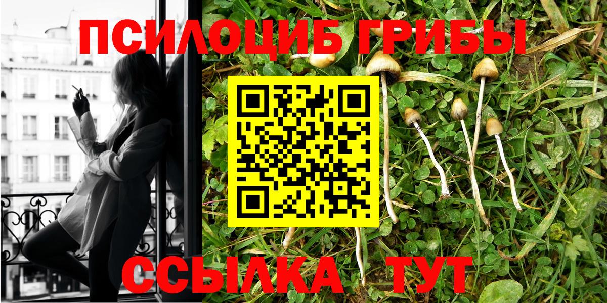 наркота  Псилоцибиновые грибы Magic Shrooms  Вход с VPN  Ртищево 